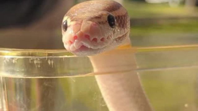 Camping in the Park 2026 Moments