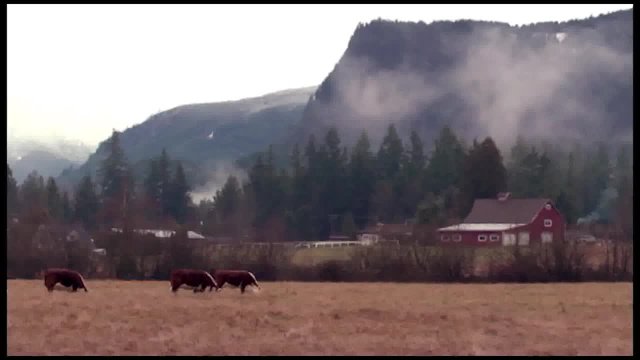 February 23, 2026 - Regular Meeting