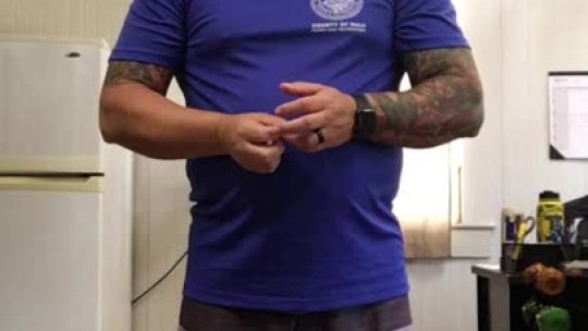 568 - Dumbbell Lunges