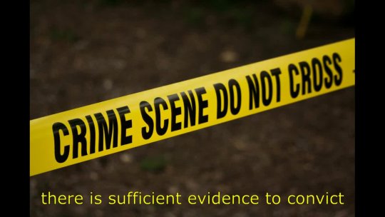 46 - Conviction by Plea or Verdict (MP4)