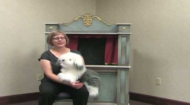 Smelly Sally Sheepdog