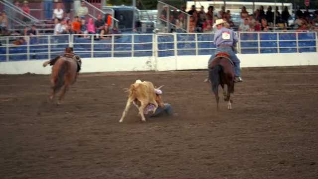 Steamboat Springs Rodeo
