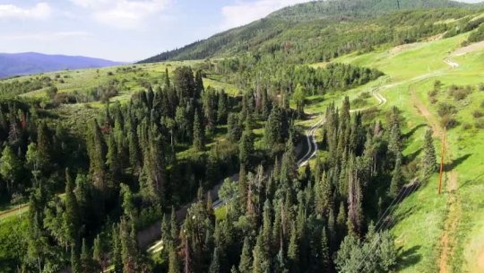Howler Alpine Slide