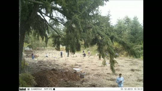 Swan Creek Community Planting