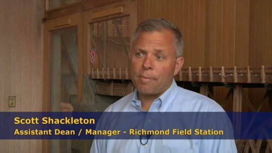 Scott Shackleton