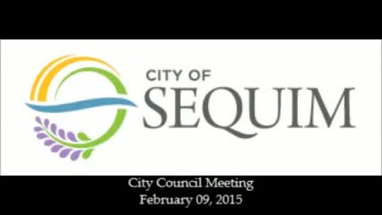 City Council Meeting - 020915