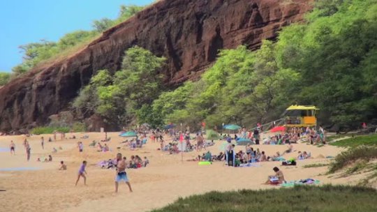 Maui Ocean Safety Video
