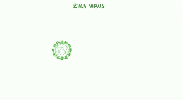 Zika Virus