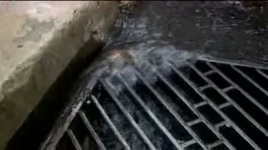 Managing Stormwater Introduction