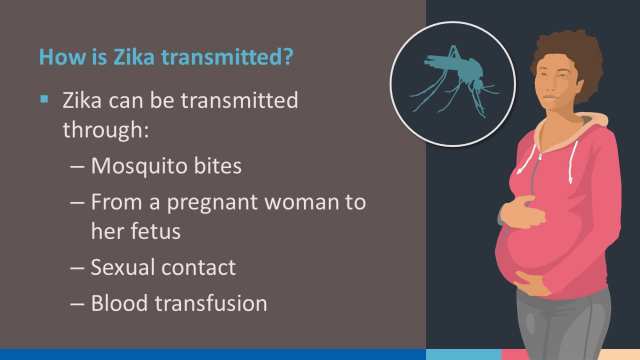 Zika Virus Presentation