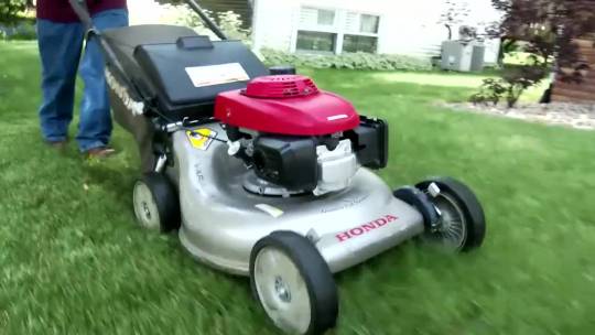 1 - Yard Waste Cart Program.mp4